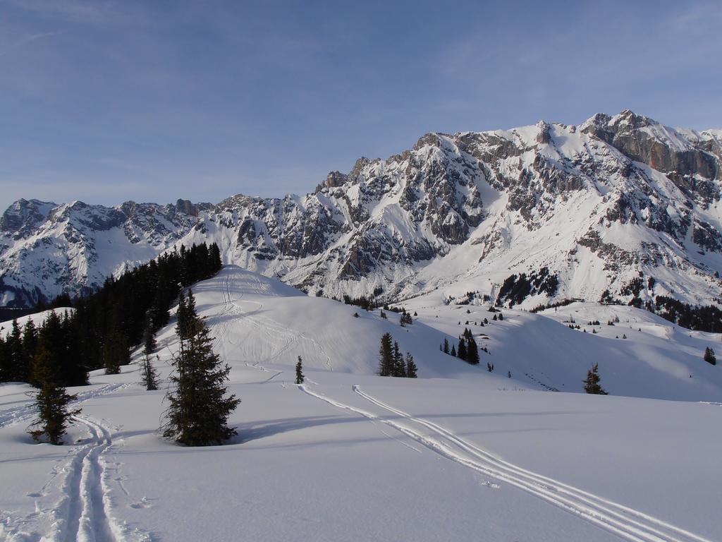 巴奇古特农家酒店 Mühlbach am Hochkönig 外观 照片