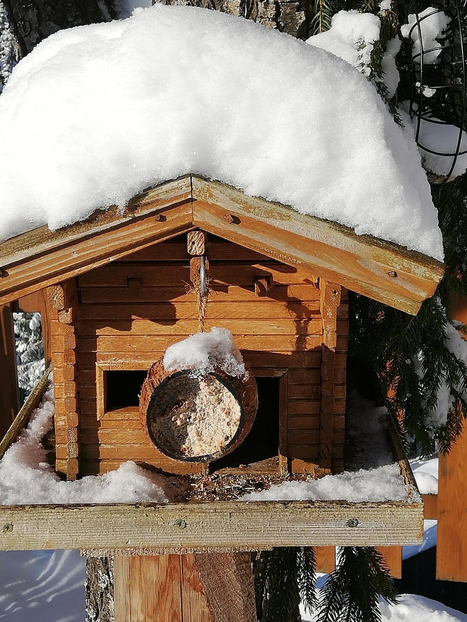 巴奇古特农家酒店 Mühlbach am Hochkönig 外观 照片