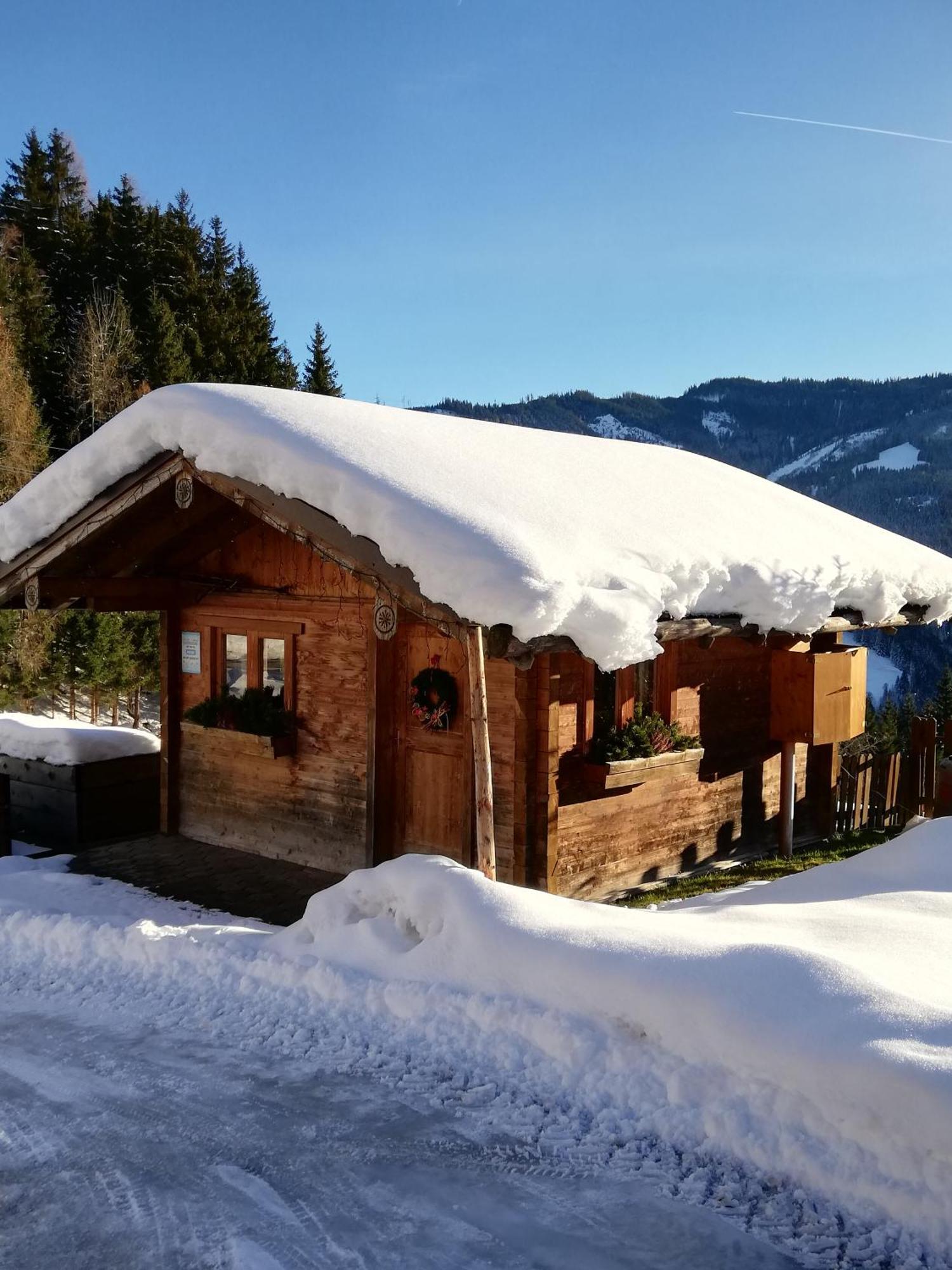 巴奇古特农家酒店 Mühlbach am Hochkönig 外观 照片
