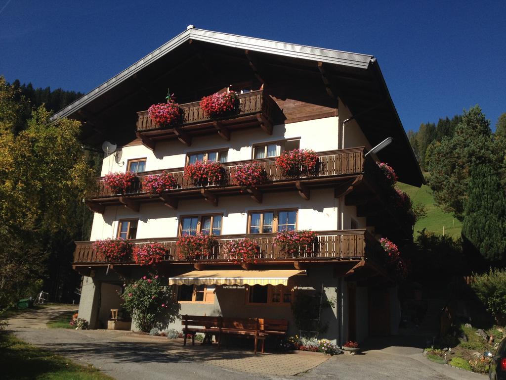 巴奇古特农家酒店 Mühlbach am Hochkönig 外观 照片