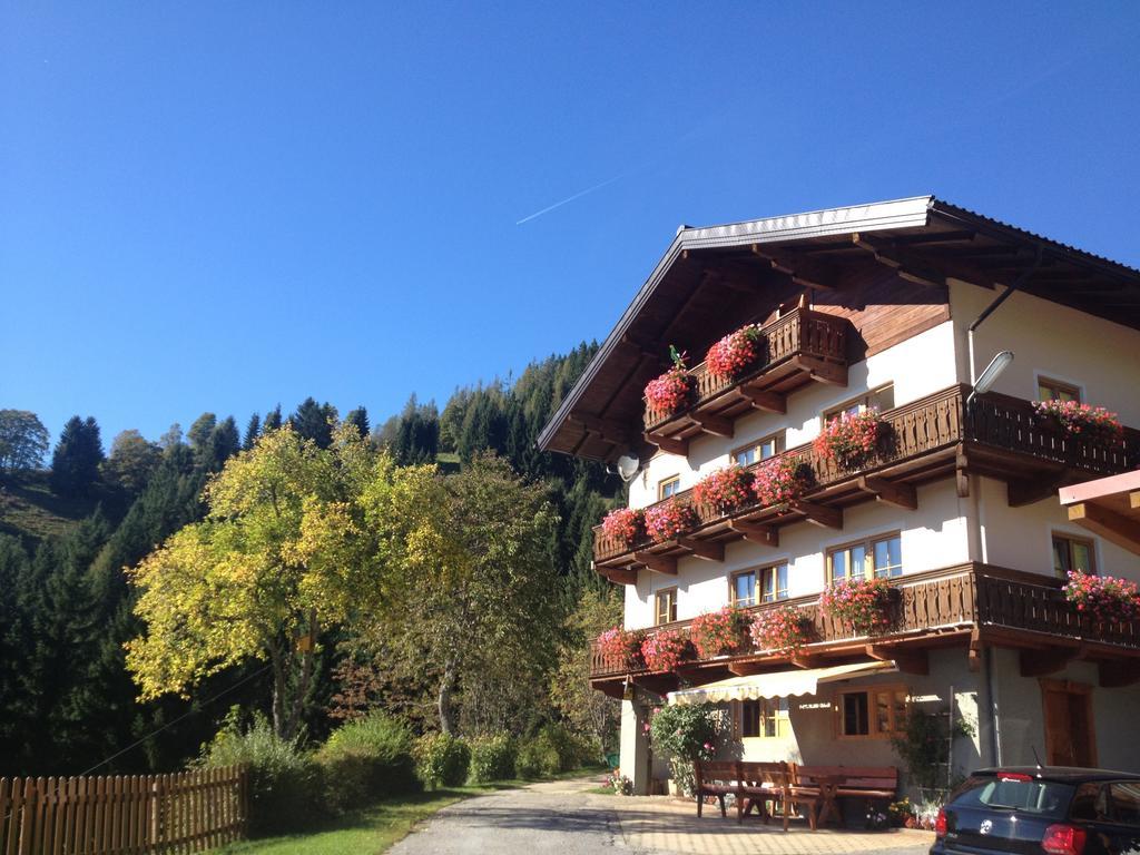 巴奇古特农家酒店 Mühlbach am Hochkönig 外观 照片